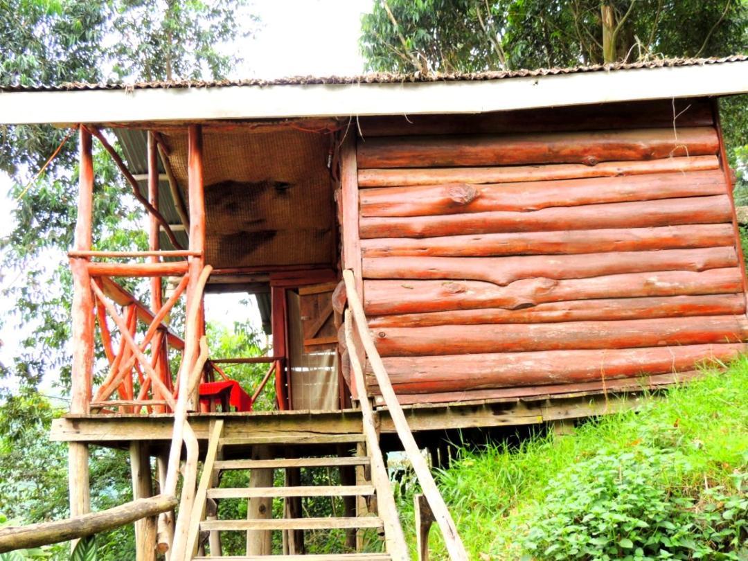 Mutanda Eco Community Center Hotel Kisoro Exterior foto